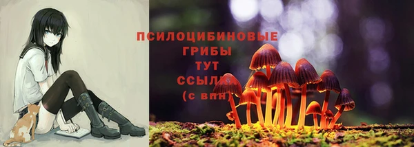 кокаин перу Алзамай